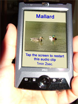 Mediascape walk for the Avon New Cut by Jackie Calderwood - screenshot of mallard audio zone