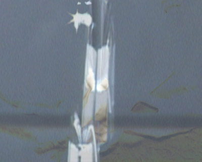 Video Still from L'Eauest Point, made with Nameless youth group and media artist Jackie Calderwood and Wiltshire Wildlife Trust, funded by Sustain the Plain