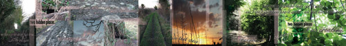 Digital Photographic Collage for exhibition and community installation during artist residency