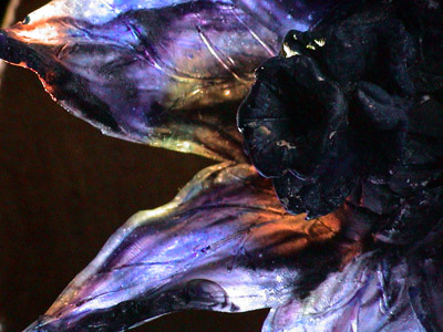 Cast glass and moving image