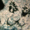 picture 1